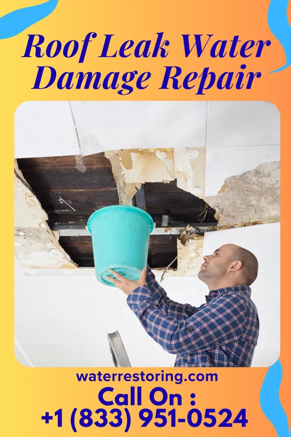 Roof Leak Water Damage Repair in Palmer, KS
