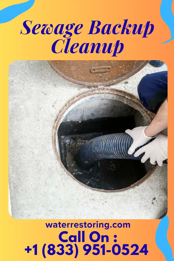 Sewage Backup Cleanup in Palmer, KS