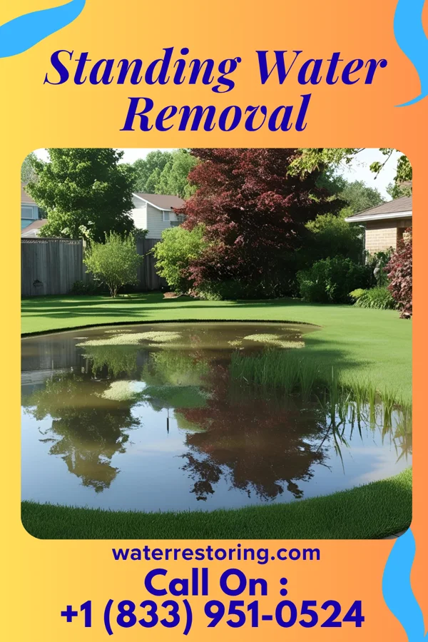 Standing Water Removal in Palmer, KS